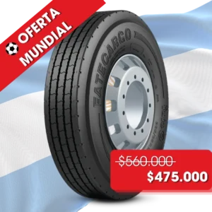 295/80 R22,5 FATE SR-200